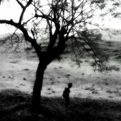 .Introspective.Buduu.