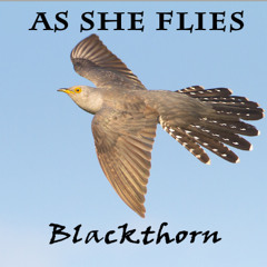 Blackthorn Folk Rock Band