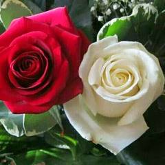 Ayman Sayed