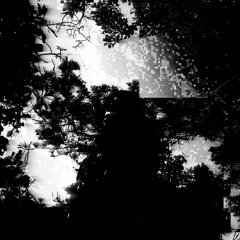 R. Alexander Leitner