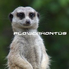 FLOWCAHONTUS