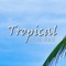 Tropical at its Best