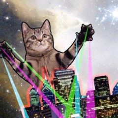 kittypoodinky