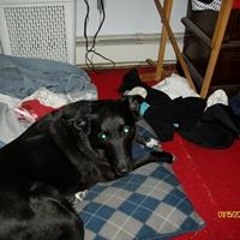 Amy Kolodziejczak Franks