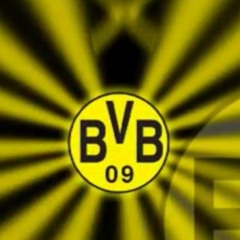 BVB Amateure-Das Leben beginnt...Alle nach Erfurt