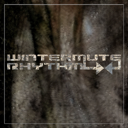 Wintermute-Rhythm’s avatar