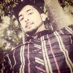 areesh burhan