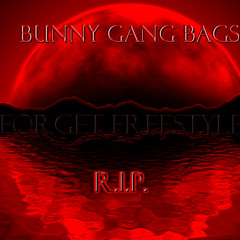 Bunnygang_Bags
