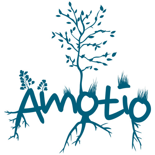 Amotio’s avatar