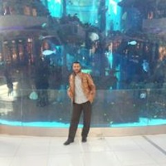 المعتصم