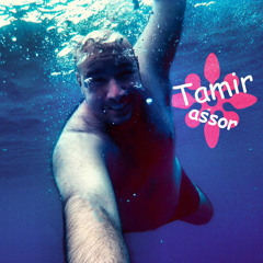 Tamir assor