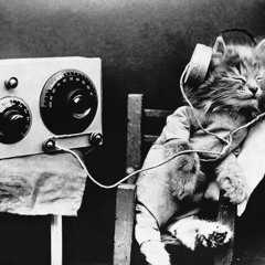 Kam (İkiSokakArası)