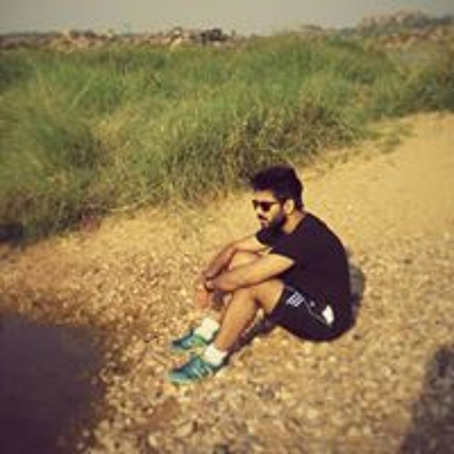 Shrikar Singh’s avatar