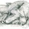 wolf mother