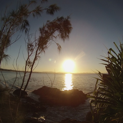 Let It Gecko (Flo-Rida / Oliver Heldons) - BREESE