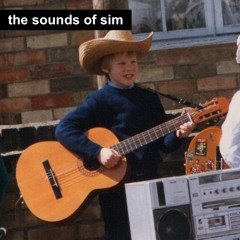 the sounds of sim