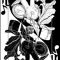 The Rhythm Rabbit