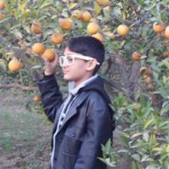 Abdul Ahad Mehmood