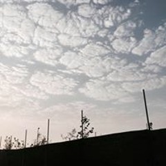 JEHADX87