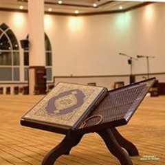 أناشيد الجهاد ♥️