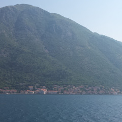 penguineatingburrito