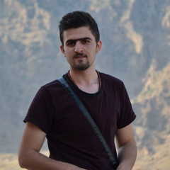 Dlovan N. Aziz