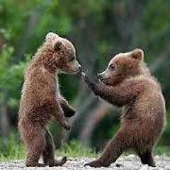 Štěpánka Schindlerová