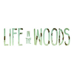 Life in the Woods