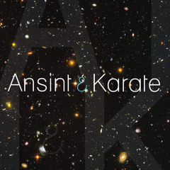 Ansint & Karate