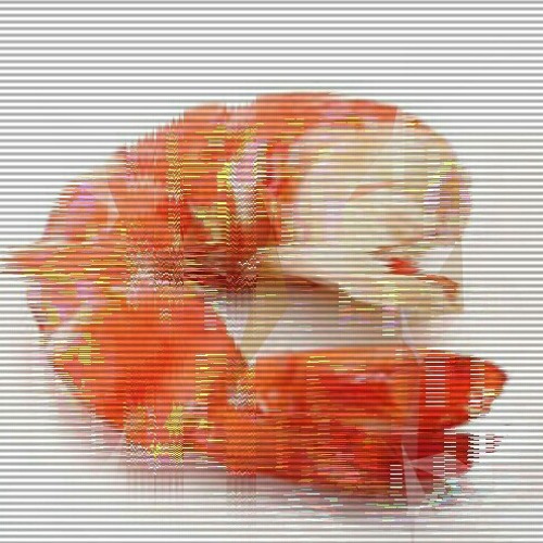 Ghetto Rich  (shrimp)’s avatar