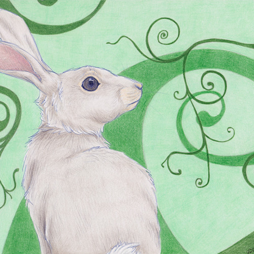 Stream The Jungle Bunny music Listen to songs, albums, playlists for