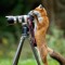 Rangerwriter