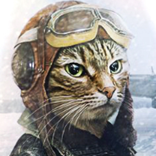 icecat’s avatar