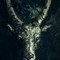 By Capricorn