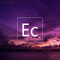 Elevated Collective