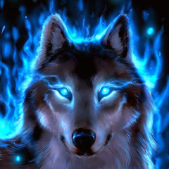 ✪