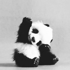 BlvckPanda
