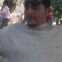 sameh fekrey