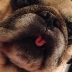 (º◡º)っ PsychoticOwl