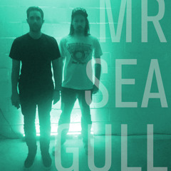 MR-SEAGULL