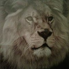 Kincade copy 2