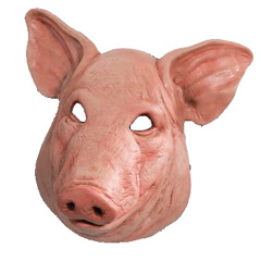 Pigmaask