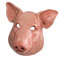 Pigmaask