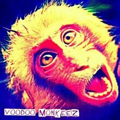 Voodoo Monkeez