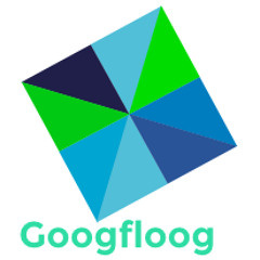 Googfloog