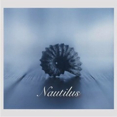 Nautilus