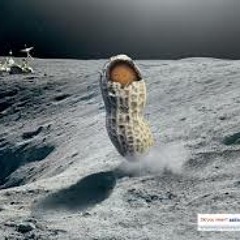 Grand Moff Veinkflaarge