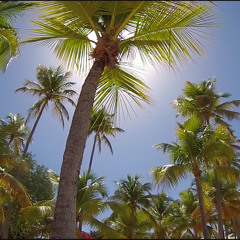 ASA BANTON Feat SUPPA - TETE BRILLER