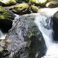 Ina Estelle Robinson