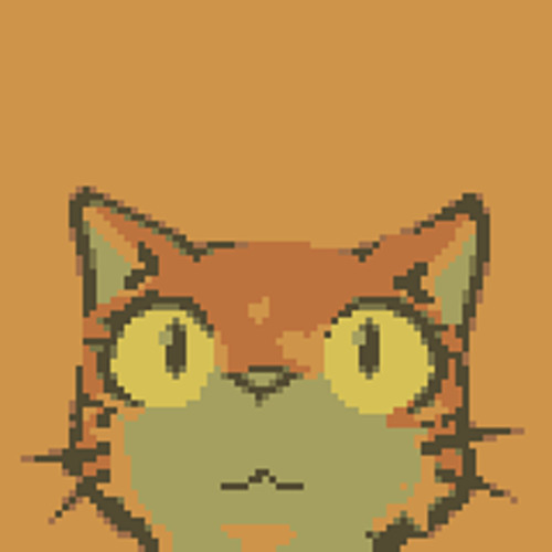 Meow (unfinished)